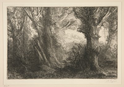 Dans la foret de Conteville (コントヴィルの森で) 作： Alphonse Legros