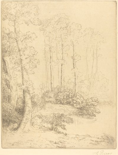 水の端 作： Alphonse Legros