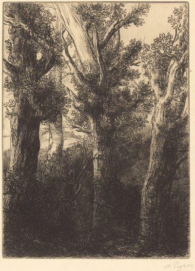 ドイツの森、ダウンリー。 作： Alphonse Legros
