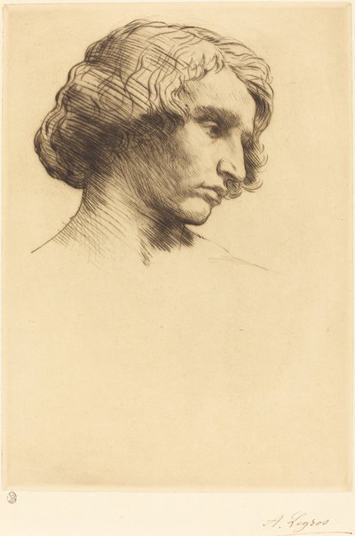 マン・テット・ドムの頭、1877年。 作： Alphonse Legros
