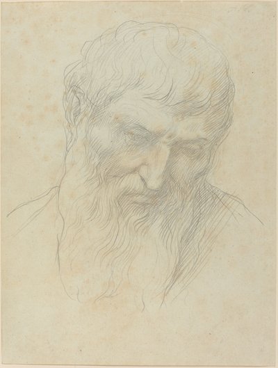 巻き毛とあごひげを持つ男の頭。 作： Alphonse Legros