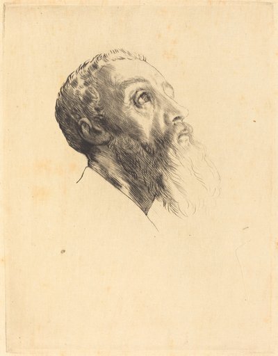 モデルの頭 モデルの頭。 作： Alphonse Legros