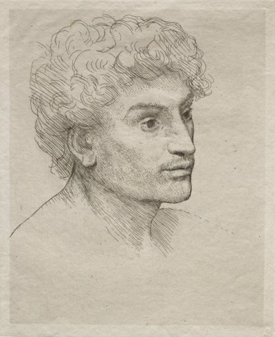 若い男の頭。 作： Alphonse Legros