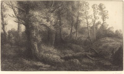 リシエール・ド・フォレの森にて。 作： Alphonse Legros
