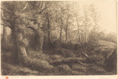 リシエール・ド・フォレの森にて。 作： Alphonse Legros