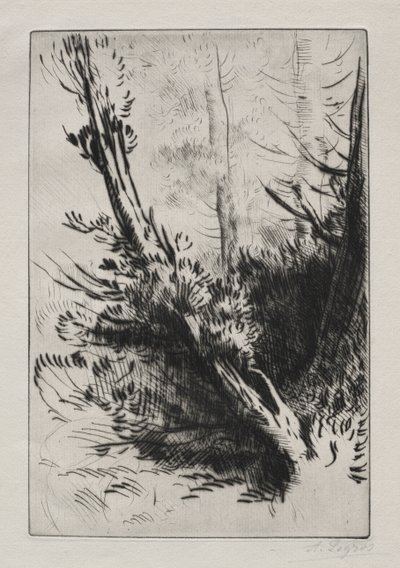 森の中で。 作： Alphonse Legros
