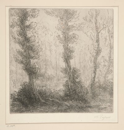 ザ リトル レイク 作： Alphonse Legros