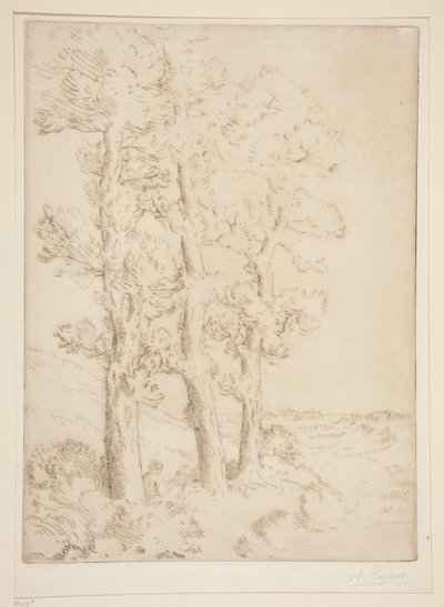 ウーマン・リーディング: レッスン・アンダー・ザ・ツリーズ 作： Alphonse Legros
