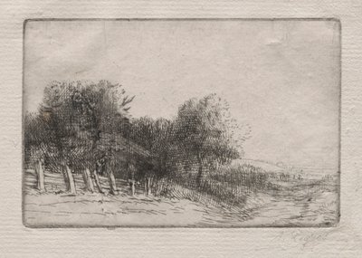 Landscape Un Paysage. 作： Alphonse Legros