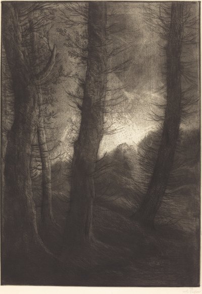 太陽に向かって見える大木 作： Alphonse Legros