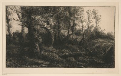 Lisiere de Foret (森の端) 作： Alphonse Legros