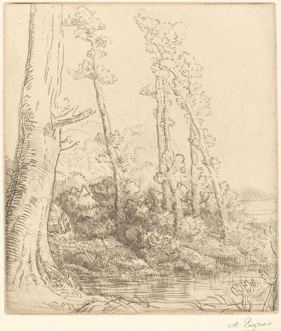 リトル ポンド ラ プチ マーレ。 作： Alphonse Legros