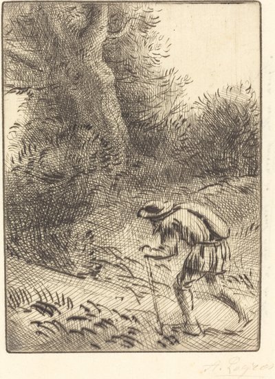 Little Wandering Jew リトル・ワンダリング・ジュー。 作： Alphonse Legros