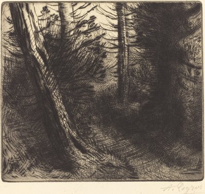 森の中の小道 森の中の小道。 作： Alphonse Legros