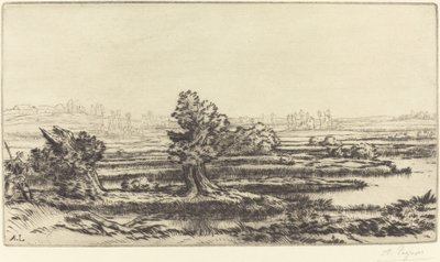 ピートボグ レ トゥールビエール。 作： Alphonse Legros