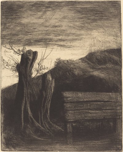 Pollard Willows Les saules tetards。 作： Alphonse Legros