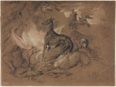 動物の研究 作： Alphonse Legros