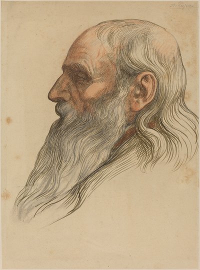 あごひげを生やした男性の頭の研究 作： Alphonse Legros