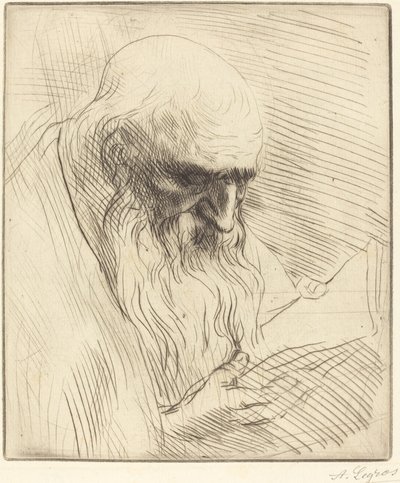 Etude de tete d