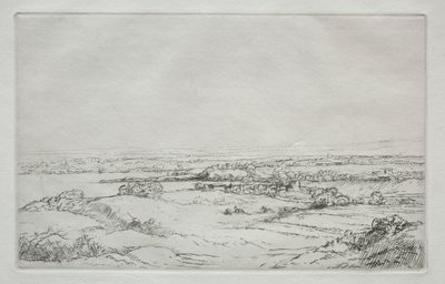 湖の近くのラプレーン湖近くの牧草地。 作： Alphonse Legros