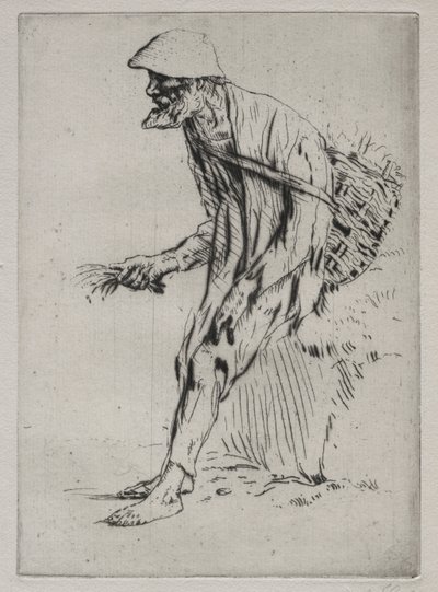 レッド・ピンパーネル・ベンダー。 作： Alphonse Legros