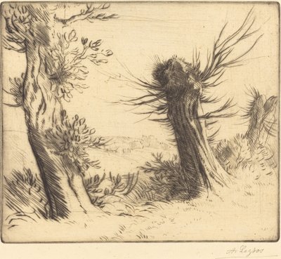 ウィローズ・レ・ソール。 作： Alphonse Legros