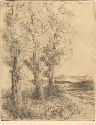 ウーマン・リーディング: レッスン・アンダー・ザ・ツリーズ 作： Alphonse Legros