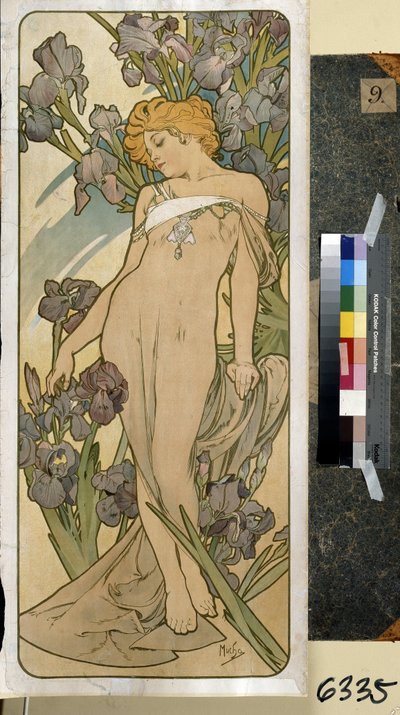 アイリス (一連の花の一部)。 アルフォンス マリア ミュシャ (アルフォンス マリー ミュシャ) のアートワーク 作： Alphonse Marie Mucha