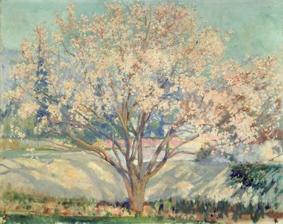 開花したアーモンドの木（キャンバスに油彩） 作： Alson Skinner Clark