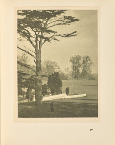 庭の端 作： Alvin Langdon Coburn