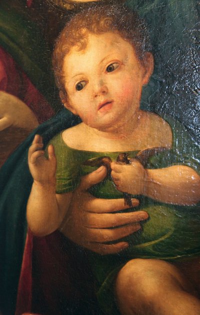 「聖母子とマグダラのマリア、聖カタリナ、2 人の聖人」の一部、1504 年 作： Alvise Vivarini