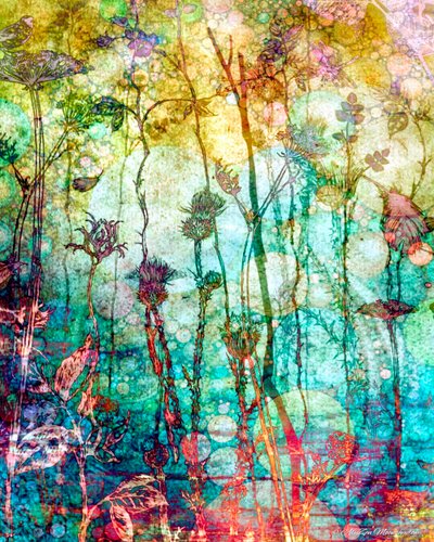 A Rich Tapestry（Warm）、2014、（デジタルミクストメディアの音韻） 作： AlyZen Moonshadow