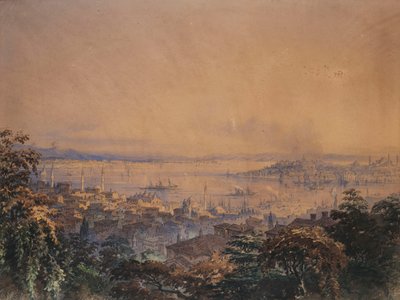 コンスタンティノープルの眺め、1866 作： Amadeo Preziosi