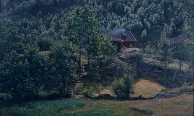 小規模保有 作： Amaldus Nielsen