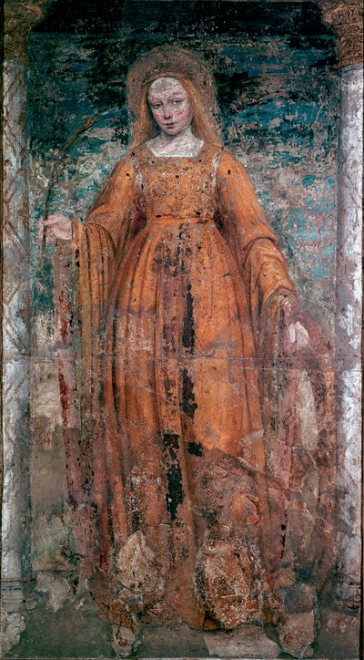ベルゴニョーネ（1460-1523）と呼ばれるアンブロジオ・ダ・フォッサーノによるシエナの聖カタリナのフレスコ画。寸法：170x77cm ミラノ、ブレラ絵画館 作： Ambrogio da Fossano (c.1460 1523) (attr.to)