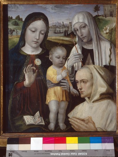 聖母子像、シエナの聖カタリナとカルトゥジオ会の修道士 作： Ambrogio da Fossano (c.1460 1523)
