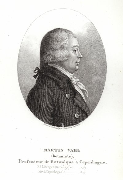 マーティンヴァール 作： Ambroise Tardieu