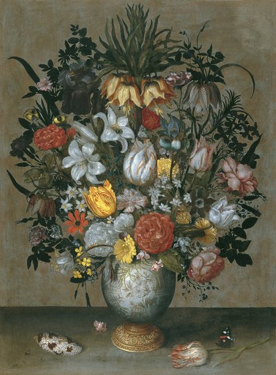 中国花貝虫文花瓶 作： Ambrosius Bosschaert the Elder