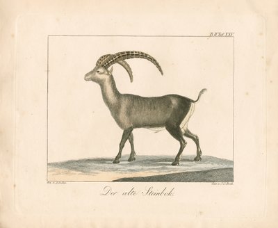  作： Ambrosius Gabler