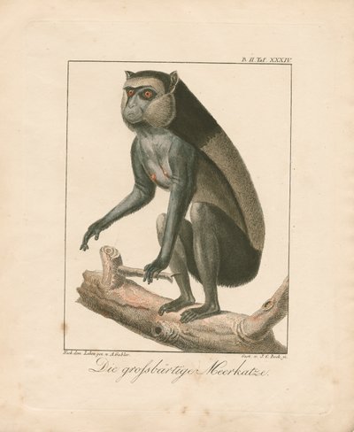  作： Ambrosius Gabler