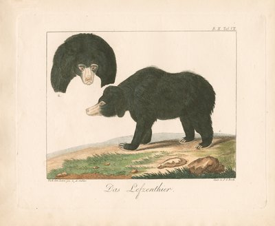  作： Ambrosius Gabler