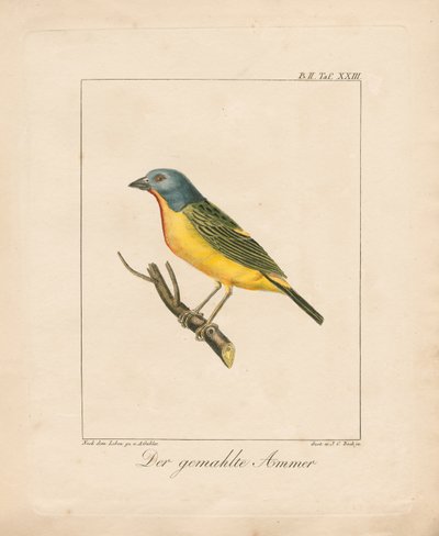  作： Ambrosius Gabler