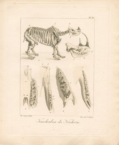  作： Ambrosius Gabler
