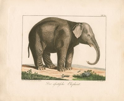  作： Ambrosius Gabler