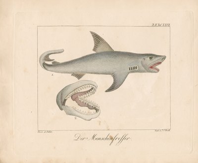  作： Ambrosius Gabler