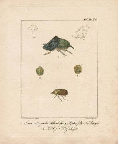 作： Ambrosius Gabler