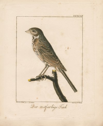  作： Ambrosius Gabler