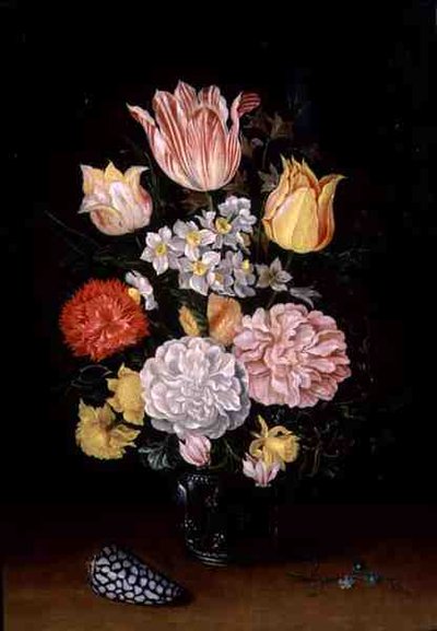 貝殻のある花の静物」（油彩・パネル） 作： Ambrosius the Younger Bosschaert