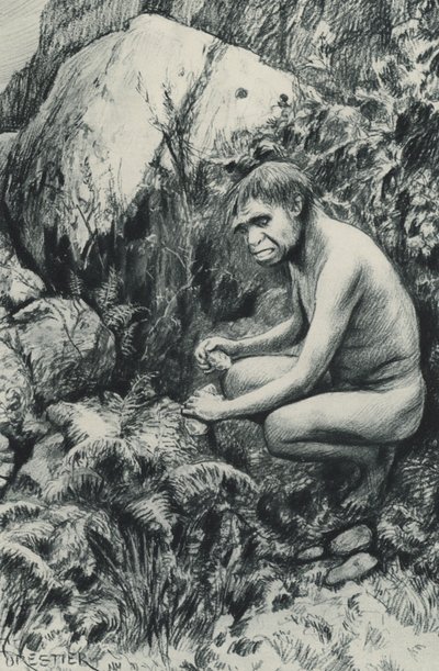おそらく1万世紀前の古い高原の古代のテナント 作： Amedee Forestier