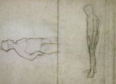 若いヌード 作： Amedeo Modigliani